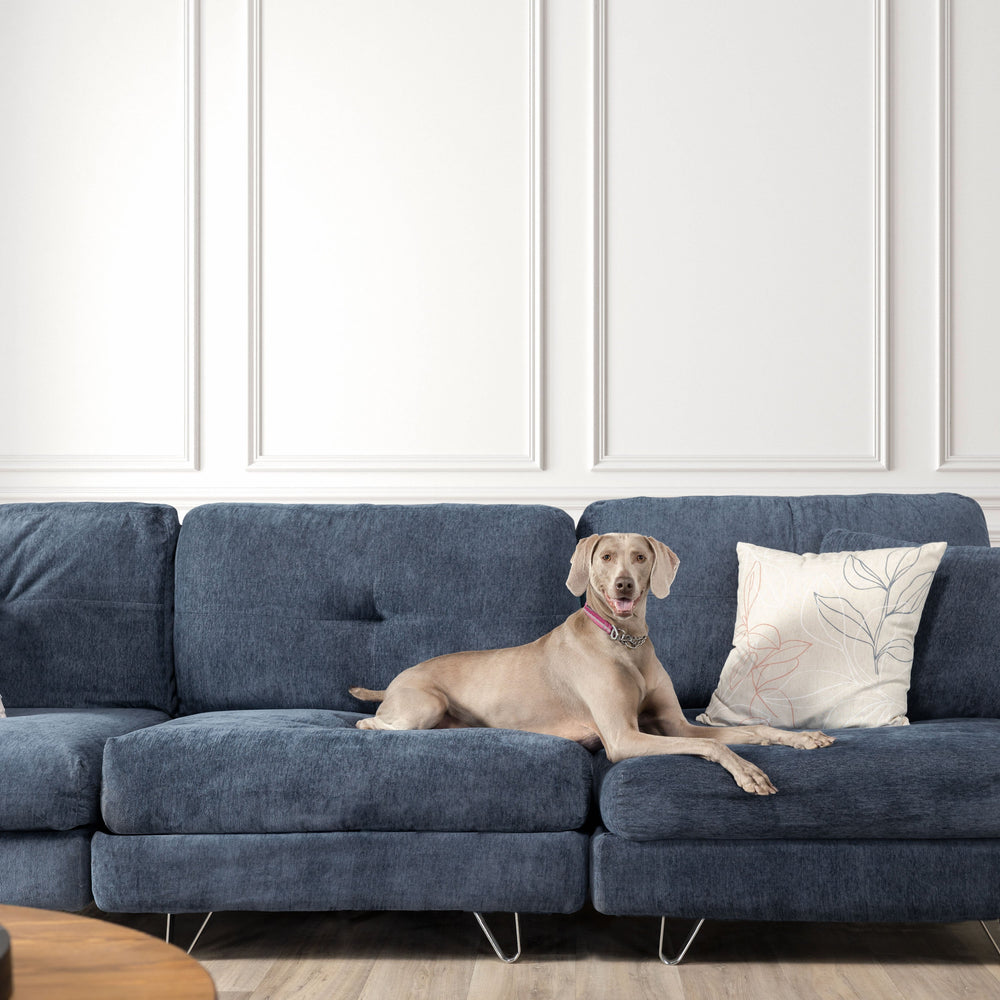 15 Tips On How To Protect Furniture From Dogs