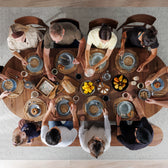 Royal Walnut::Gallery