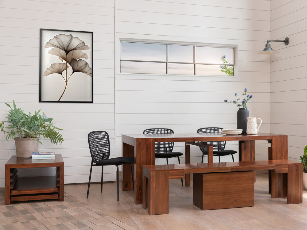 American Mahogany::Gallery