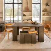 American Silver Birch::Gallery