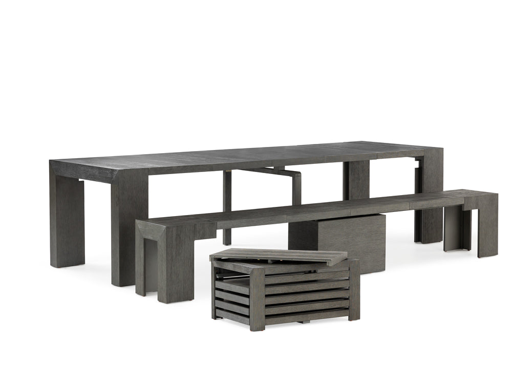 American Silver Birch::Gallery