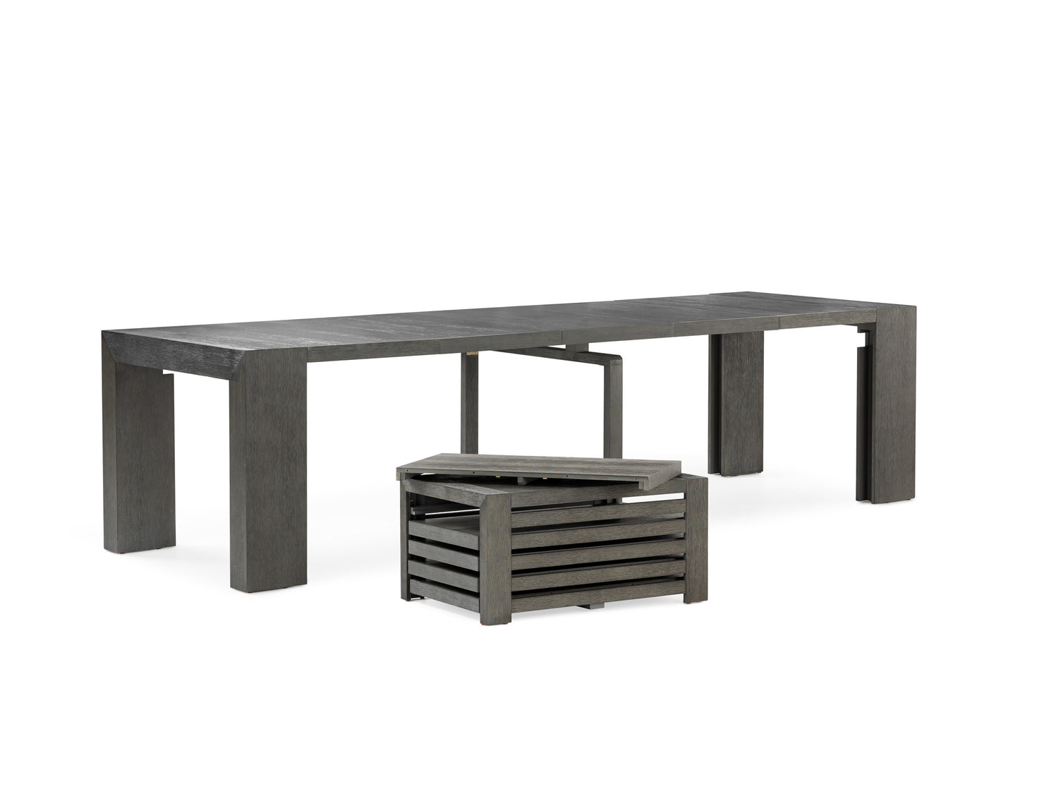 American Silver Birch::Gallery