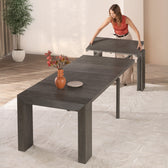 American Silver Birch::Gallery